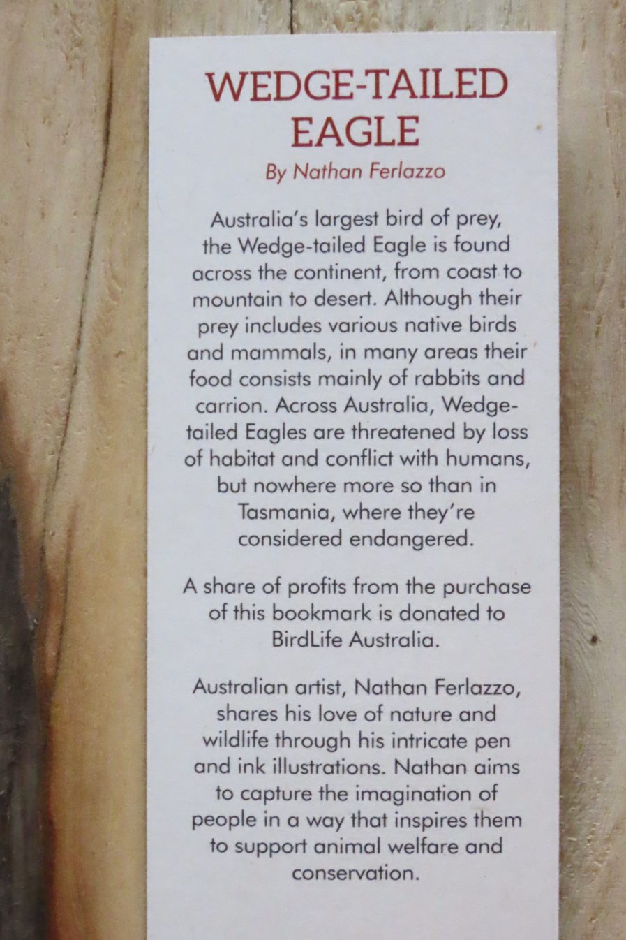 Wedge-Tailed Eagle Bookmark - Image 3