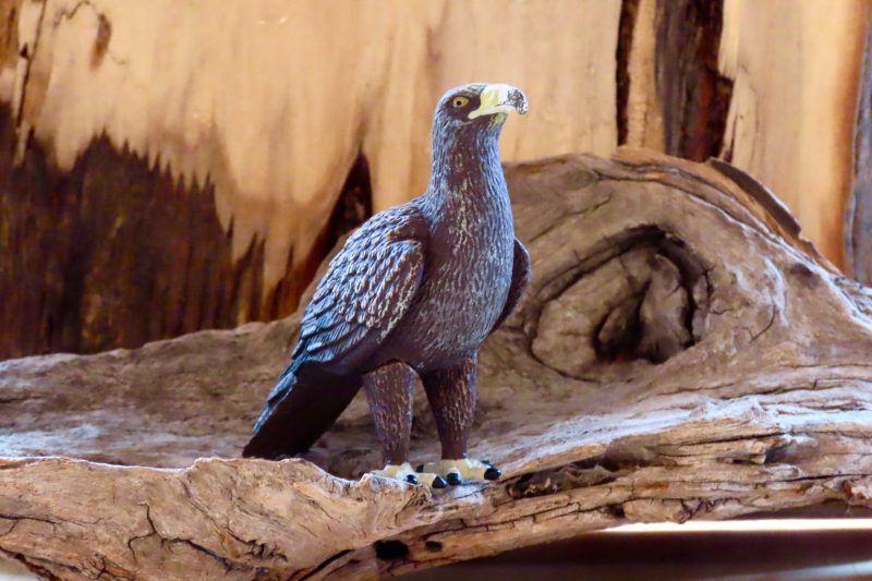 Wedge-Tailed Eagle Figurine