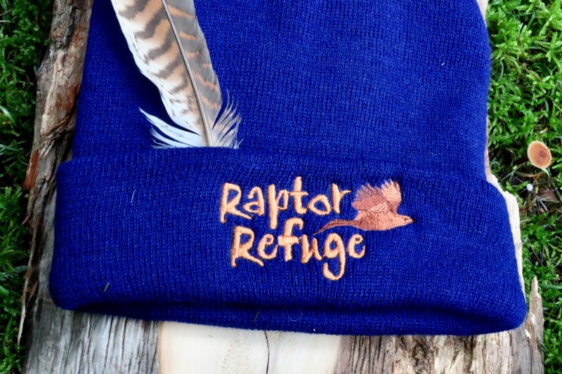 Raptor Refuge Beanie (Blue)