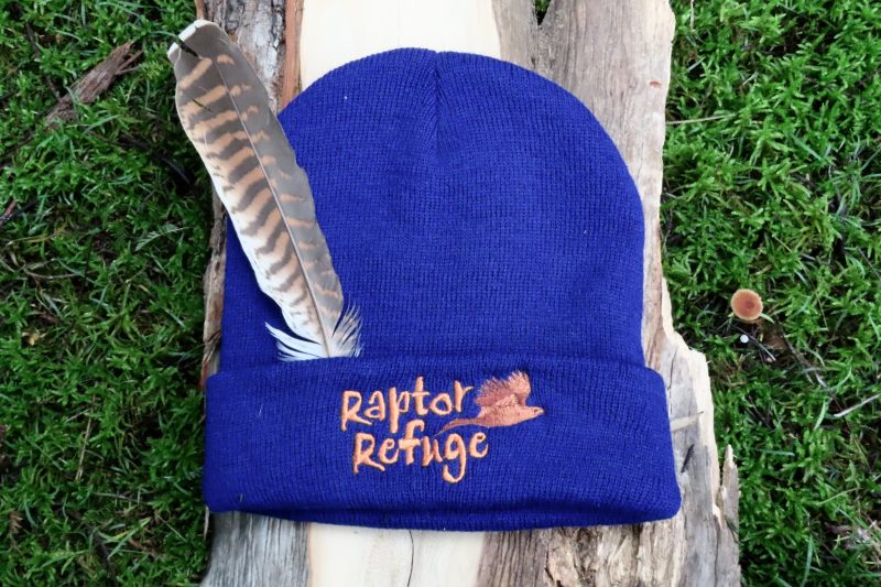 Raptor Refuge Beanie (Blue)