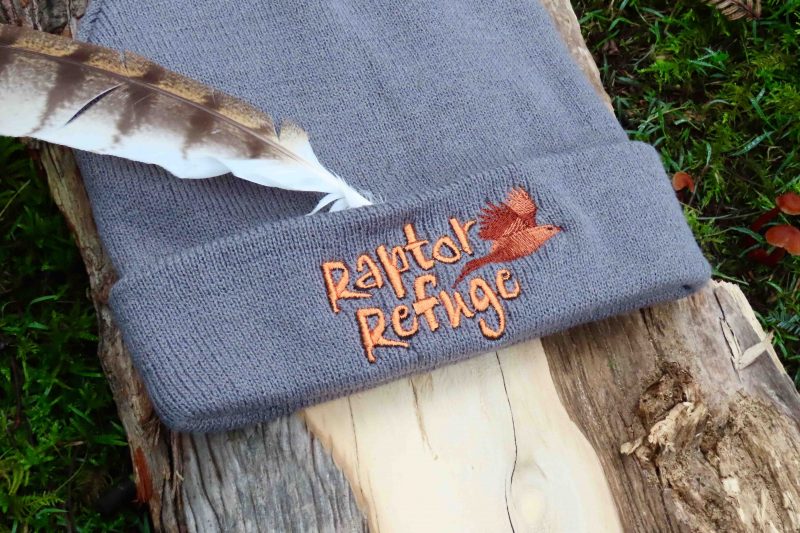 Raptor Refuge Beanie (Grey)