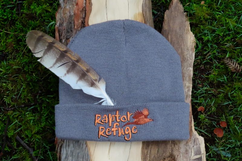 Raptor Refuge Beanie (Grey)