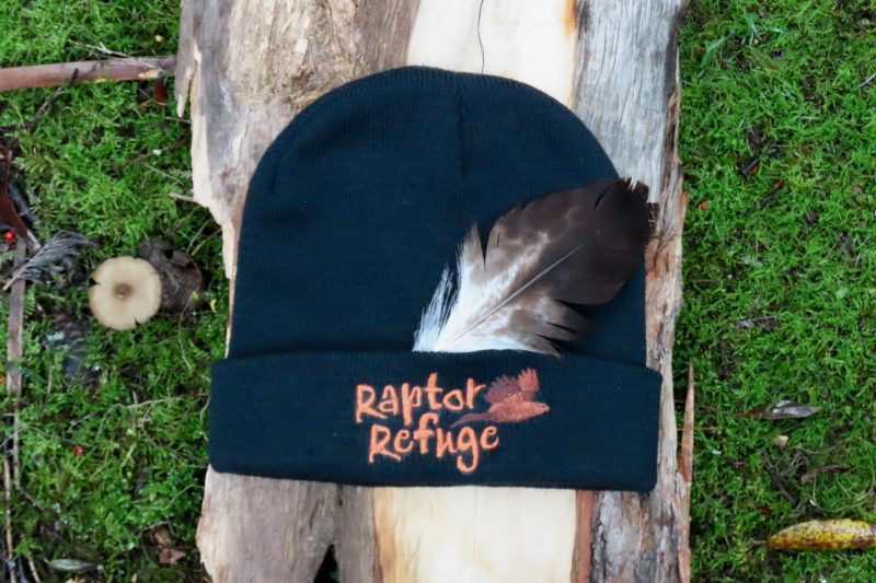 Raptor Refuge Beanie (Green)