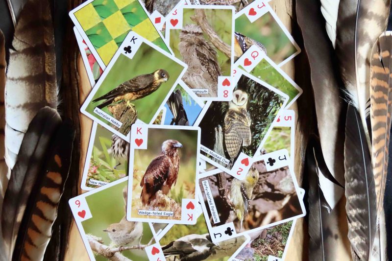 Tasmanian Birds Playing Cards
