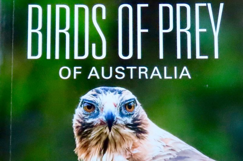 A Field Guide: Birds of Prey of Australia