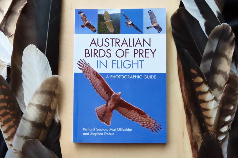 Australian Birds of Prey in Flight