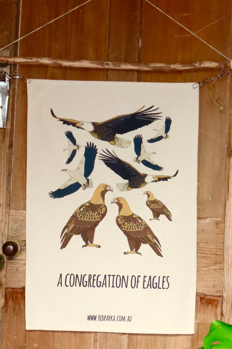 Congregation of Eagles Tea Towel