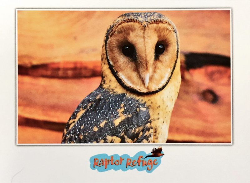 Masked Owl Gift Card 04