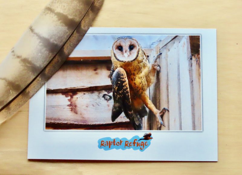 Masked Owl Gift Card 01