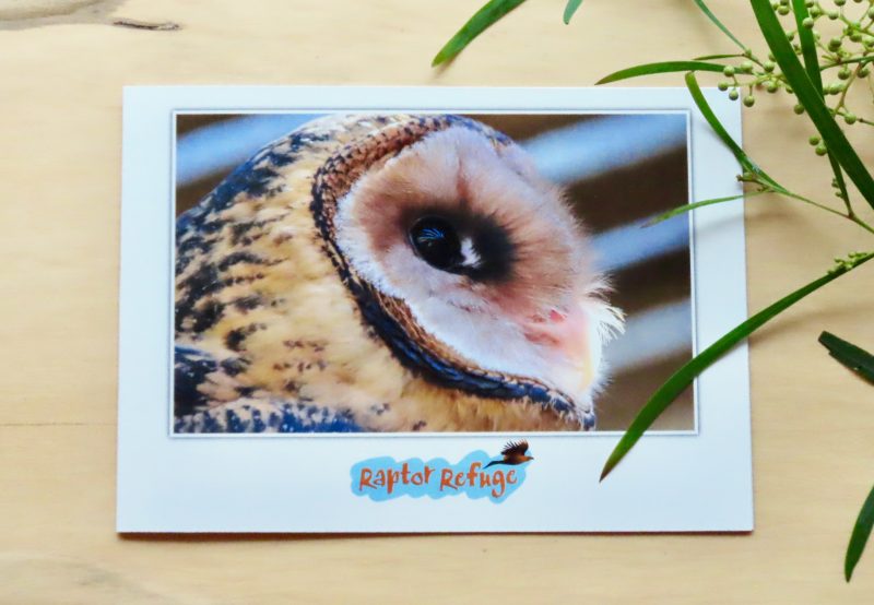 Masked Owl Gift Card 02