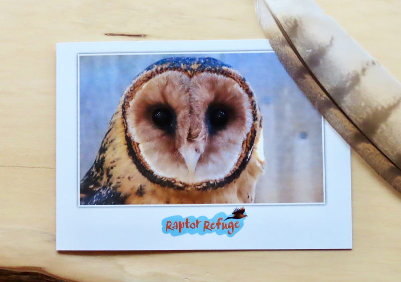 Masked Owl Gift Card 03