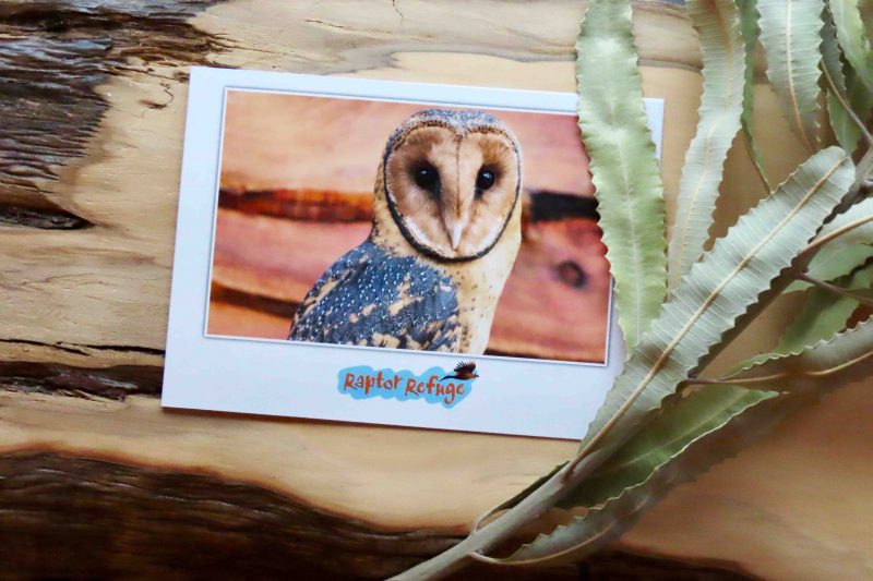 Masked Owl Gift Card 04