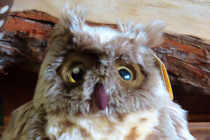 Owl Plush Toy