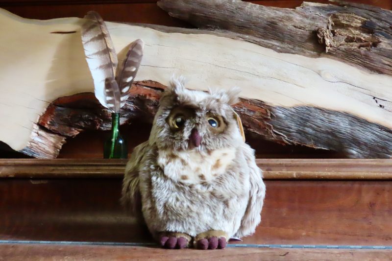 Owl Plush Toy