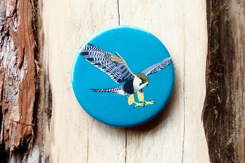 Peregrine Falcon Bottle Opener Magnet (Blue)