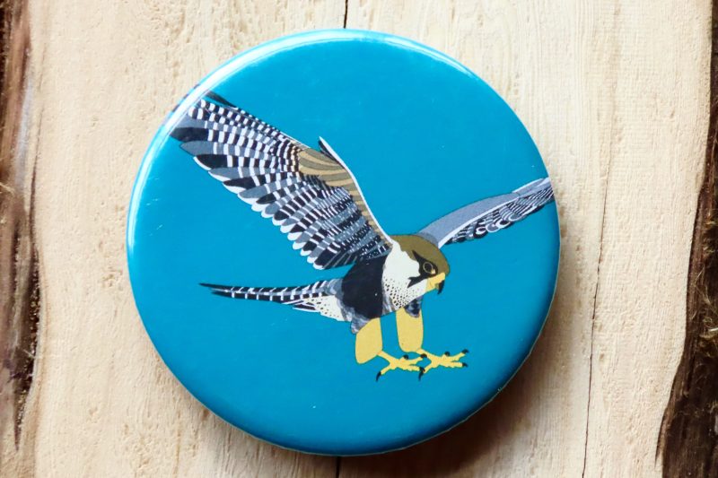 Peregrine Falcon Bottle Opener Magnet (Blue)