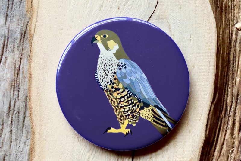 Peregrine Falcon Bottle Opener Magnet (Purple)