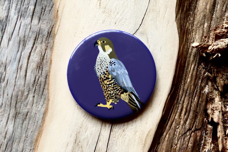 Peregrine Falcon Bottle Opener Magnet (Purple)