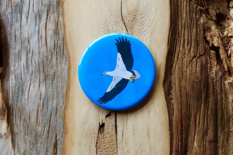 White-Bellied Sea Eagle Bottle Opener Magnet