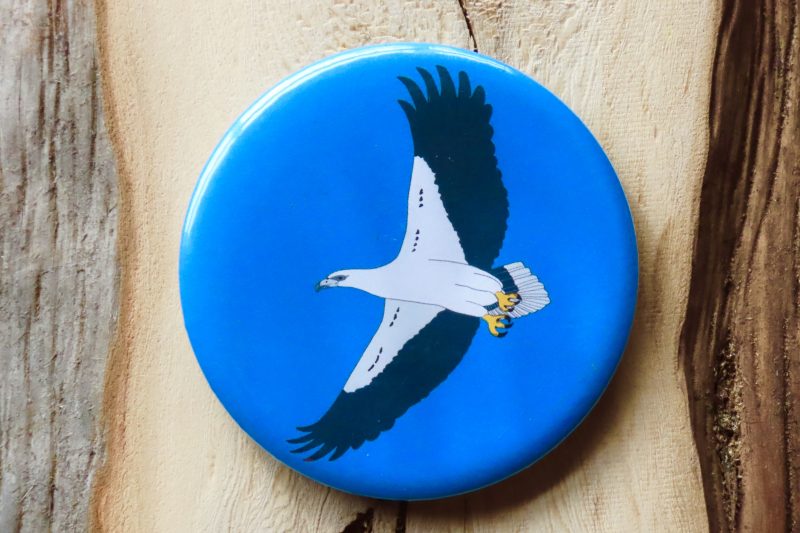 White-Bellied Sea Eagle Bottle Opener Magnet