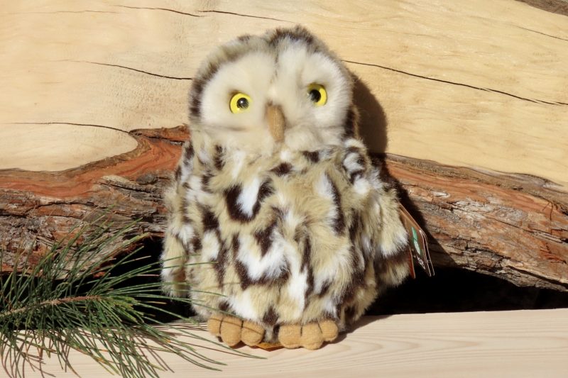 Little Owl Plush Toy