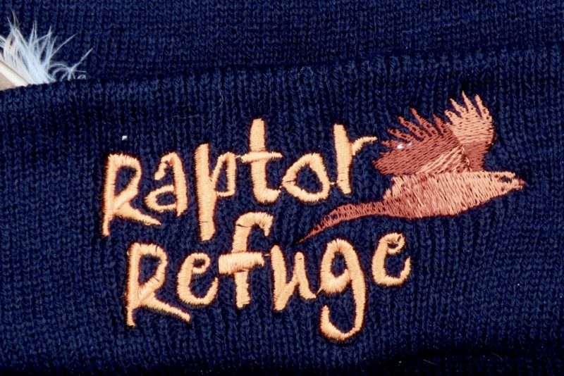 Raptor Refuge Beanie (Navy)