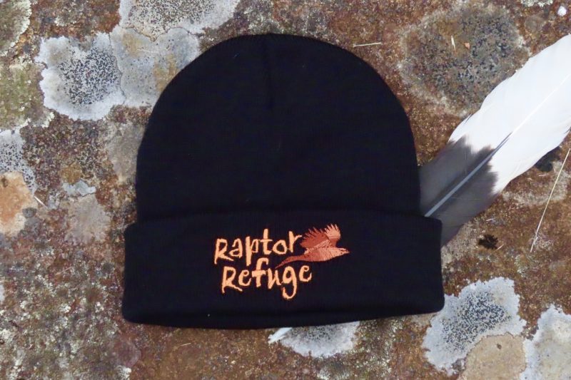 Raptor Refuge Beanie (Black)