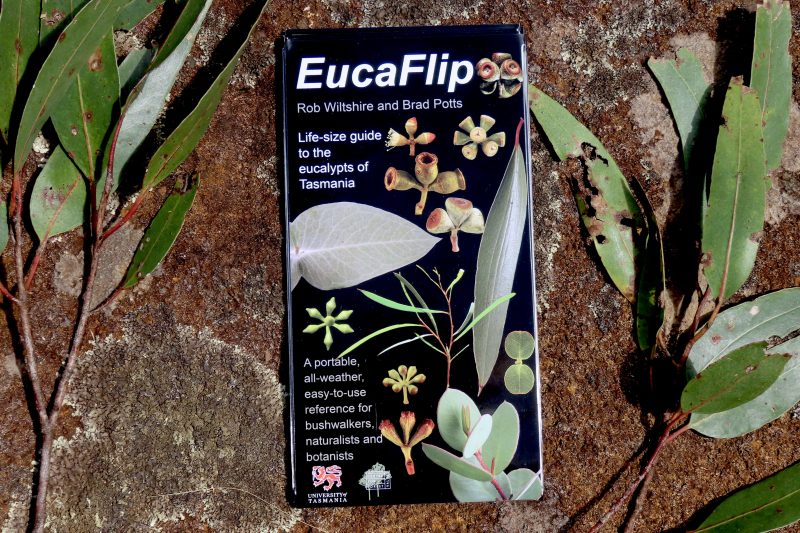 EucaFlip