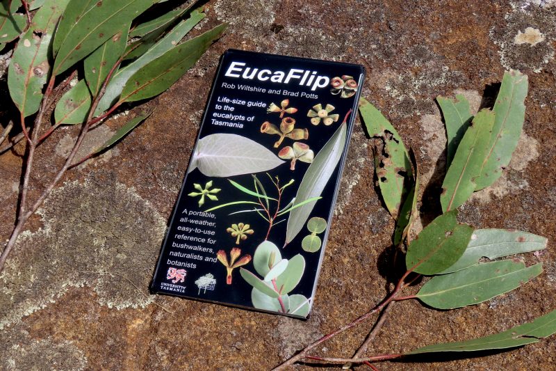 EucaFlip