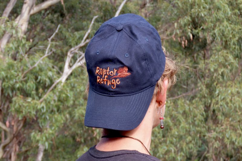 Raptor Refuge Cap