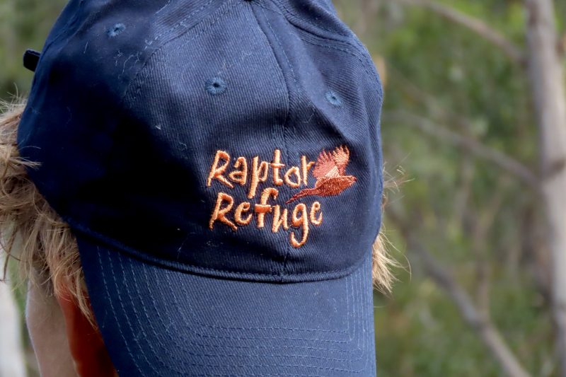 Raptor Refuge Cap