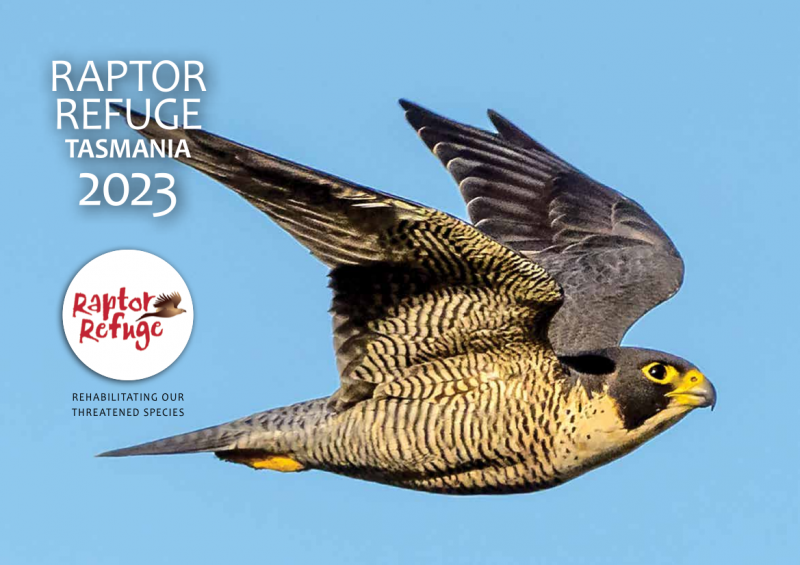 2023 Raptor Refuge Calendar