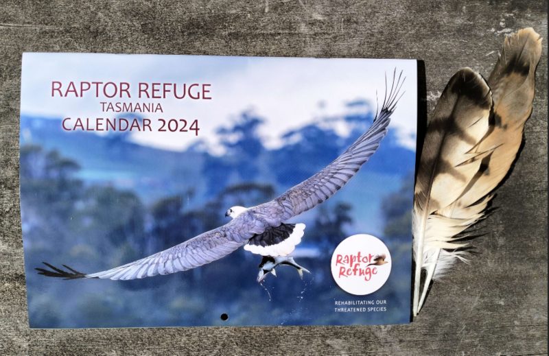 2024 Raptor Refuge Calendar
